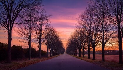 夕日が照らす枝だけの並木道、秋の終わりの静寂