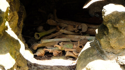 A close-up of a pile of human bones inside a cave opening, with sunlight illuminating the scene. Toraja Burial