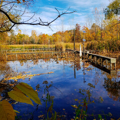 Experimental Wetlands in Autumn, The Wilma H. Schiermeier Olentangy River Wetland Research Park,...