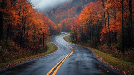 Fototapeta premium Serene winding road through vibrant autumn foliage.
