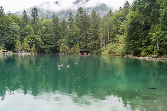 Tranquil Naturpark Blausee, Showcasing a Scenic Swiss Lake