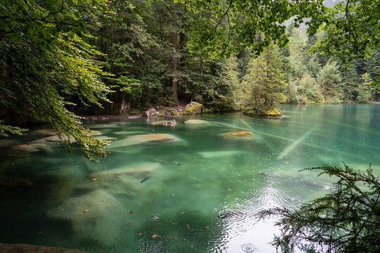 Tranquil Blausee lake surrounded by dense forest in Switzerland
