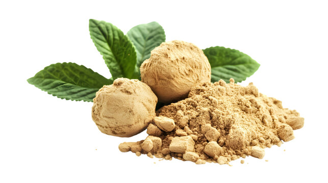 Maca Herb Plant on White Background,
