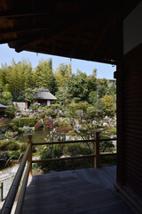 Fototapeta premium 等持院 方丈の回廊から庭園を望む 京都市北区