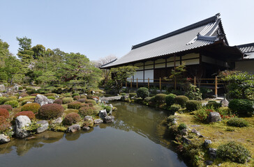 Fototapeta premium 等持院 芙蓉池と方丈 京都市北区