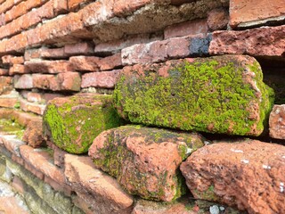 Picture of bricks in an ancient site that is old and covered with moss.