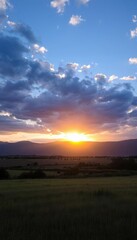 Fototapeta premium araffes in a field with a sunset in the background