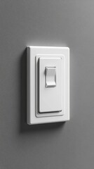 A white light switch on a gray wall. (1)
