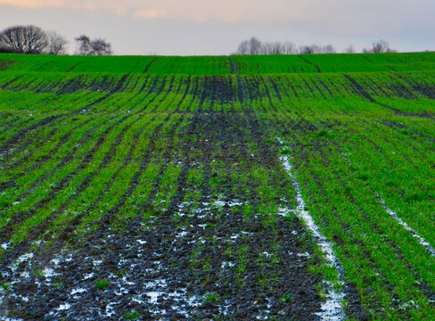 green field in the morning with parallel tracks