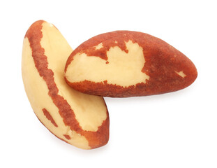 Two Brazil nuts isolated on white, top view