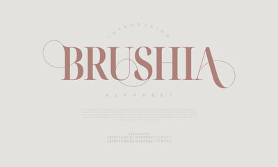 Brushia typography beauty fashion elegant minimalist serif italic fonts decorative wedding vintage retro logos. Minimal luxury font alphabet logo. Vector illustration