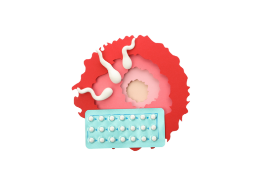 PNG, Ovulation concept, isolated on white background