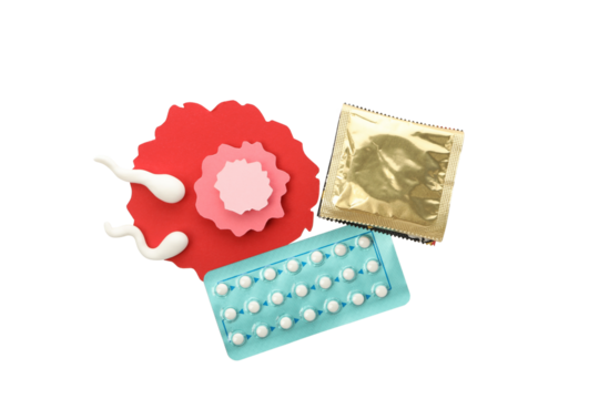 PNG, Ovulation concept, isolated on white background