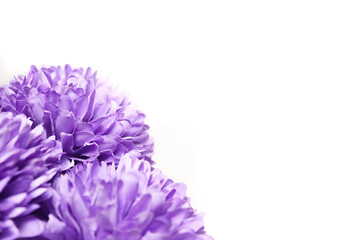 artificial flowers of violet color with negative space, isolated on white background