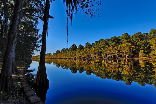 Caddo Lake State Park, with the beautiful scenes of the fall colors in the cypress trees and Spanish moss makes for a great visit.