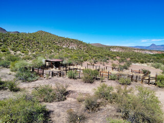 Old arizona desert coral
