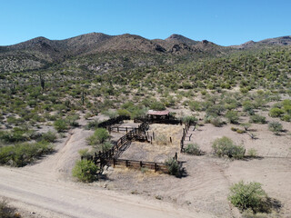 Old arizona desert coral
