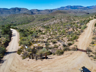 Old arizona desert coral
