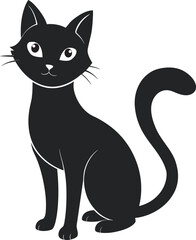 black and white cat