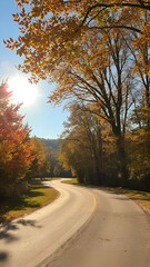 road in autumn