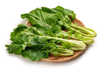 大和まな、奈良県在来の葉物野菜