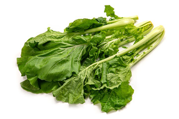 大和まな、奈良県在来の葉物野菜