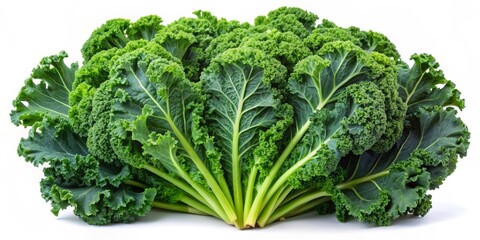 Fresh Green Kale Bunch Isolated on White Background, Vegan Food, Healthy Eating, Green Leafy Vegetable
