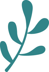 A green leaf of xmas