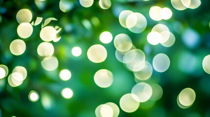 Obraz premium 2410 52.A close-up of white bokeh lights softly glowing against a vibrant green backdrop. The gentle, blurry light circles create a magical effect, with varying sizes of light spots adding texture
