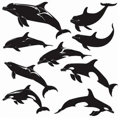 Naklejka premium Collection of Dolphin Silhouettes: Black and White Vector Illustration