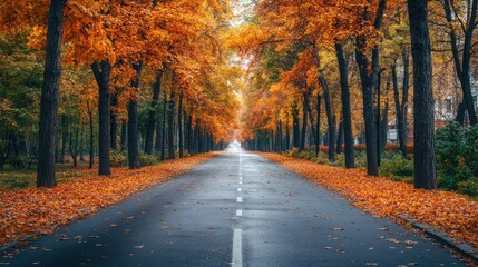 Obraz premium Serene Autumn Road Lined with Vibrant Orange and Yellow Trees on a Peaceful Day