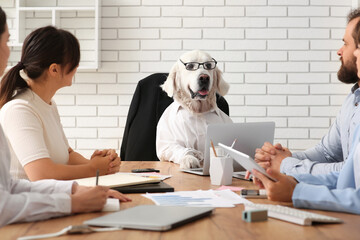 Cute funny Labrador dog dressed as businessman with business team during meeting in office