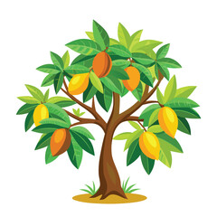Mango tree vector illustration isolated on a white background