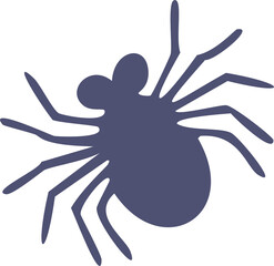 spider isolated on white