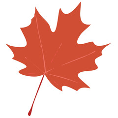 autumn maple leaf