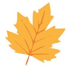 maple leaf