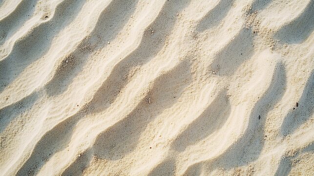 2410 83.A top-angle view of sand with distinct, parallel tracks running across its surface. The sandy texture is interrupted by these indents, creating a dynamic and natural-looking background with