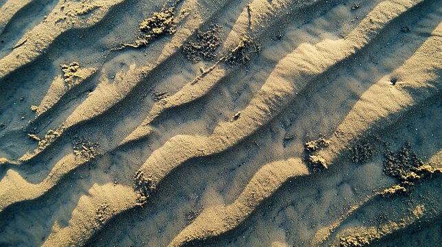 2410 83.A top-angle view of sand with distinct, parallel tracks running across its surface. The sandy texture is interrupted by these indents, creating a dynamic and natural-looking background with