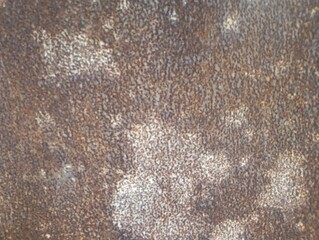 rusty metal texture