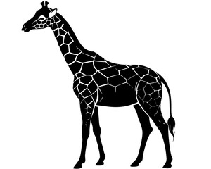 Obraz premium Giraffe silhouette on a white background