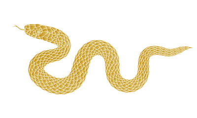 Illustration of a golden snake