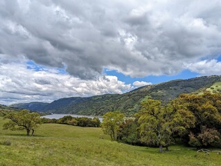 meadow by the lake