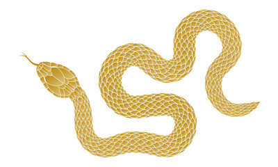 Illustration of a golden snake