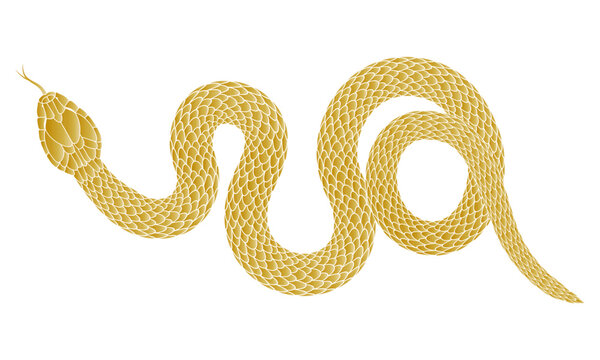 Illustration of a golden snake
