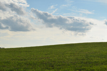 Obraz premium Green empty field with blue sky and whispy clouds