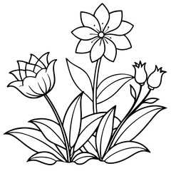Obraz premium Garden flowers vector art coloring page illustration coloring book design 