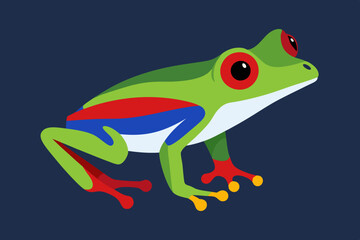 Cute red eyed tree frog Agalychnis callidryas