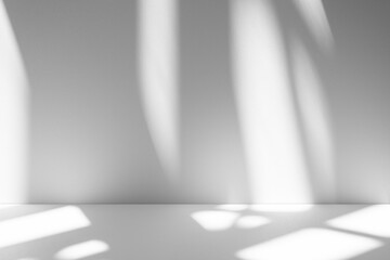 Wall interior background, studio and backdrops show products.with shadow from window color white and grey. background for text insertion and presentation product	

