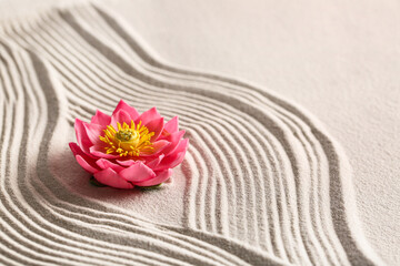 Beautiful flower on light sand with lines. Zen concept