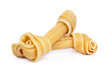 two dog bone isolated, png